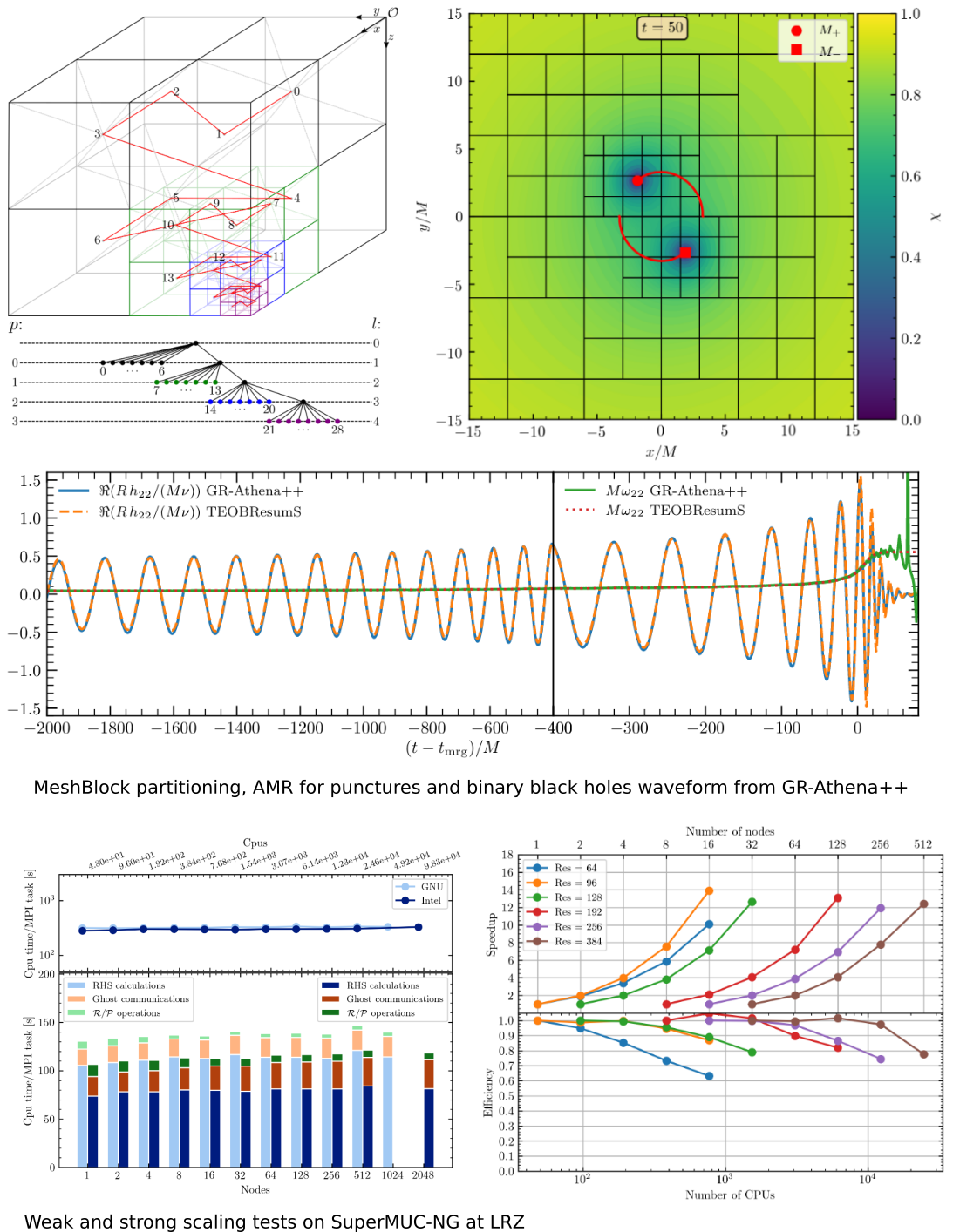 image-GR-Athena++: puncture evolutions on vertex-centered oct-tree AMR