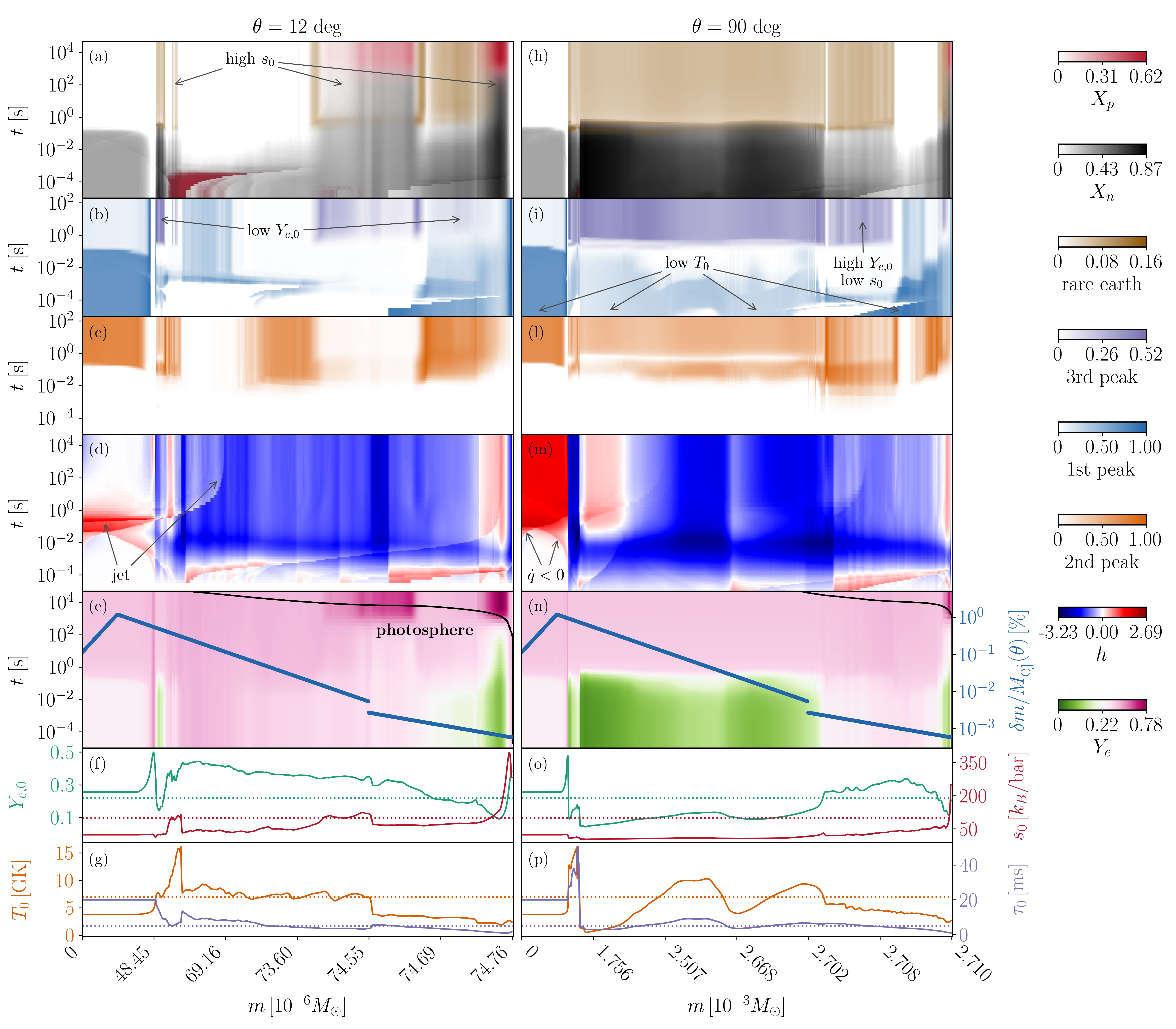 image-Elements formation in radiation-hydrodynamics simulations of kilonovae