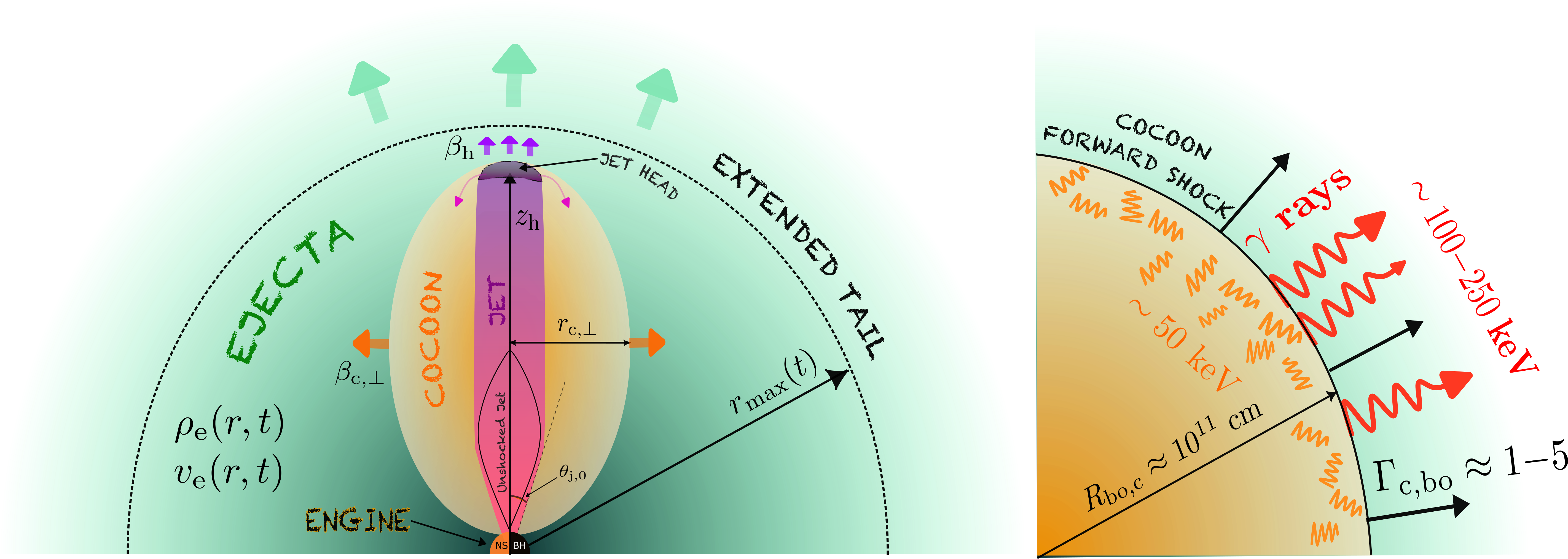 image-Cocoon shock breakout emission from binary neutron star mergers