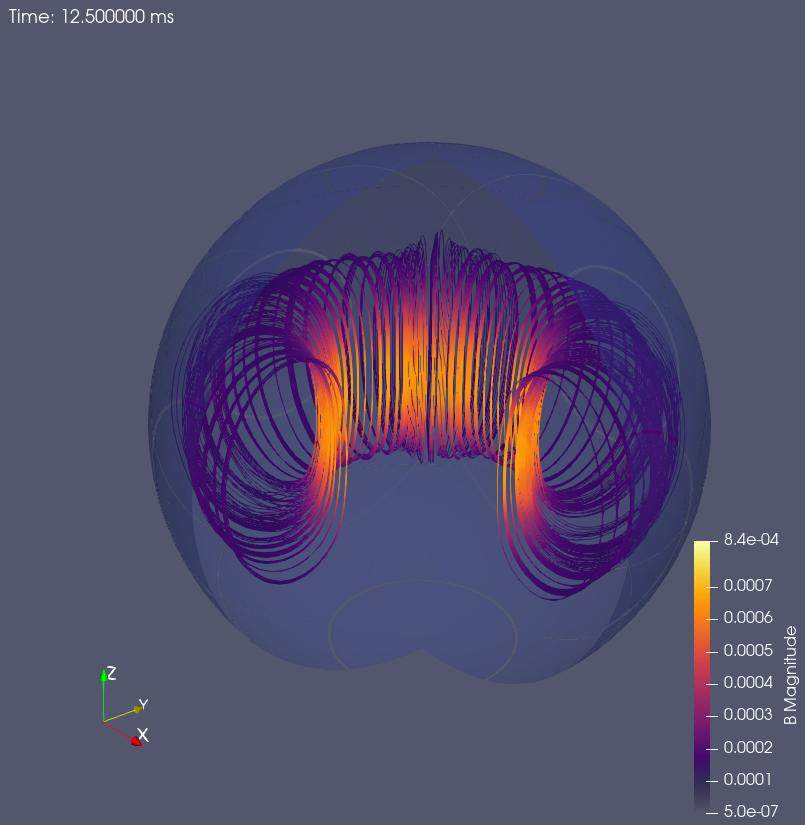 image-Turbulence in Magnetised Neutron Stars