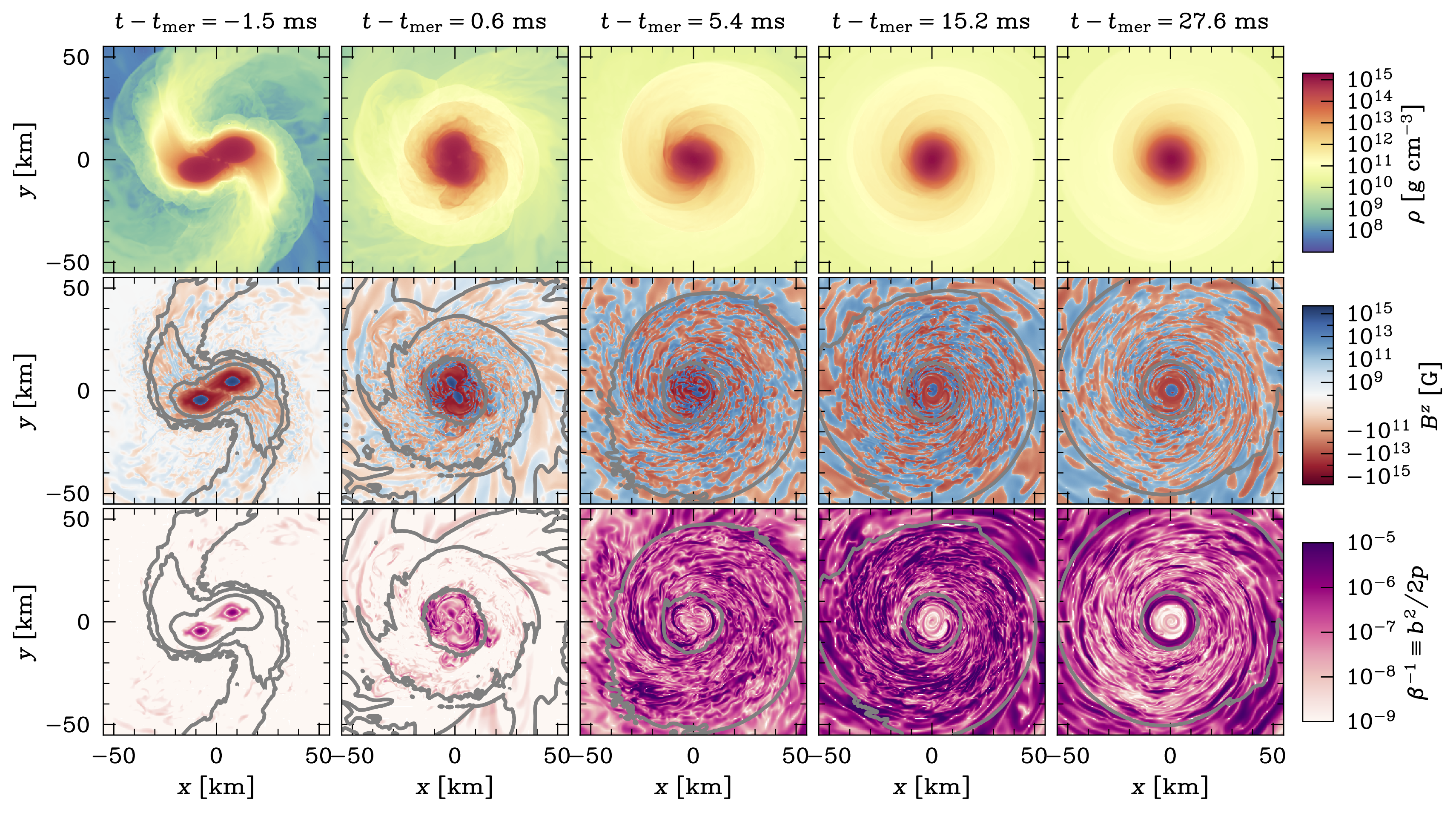 image-Magnetic Field Configurations in Binary Neutron Star Mergers I: Post-merger Remnant and Disk
